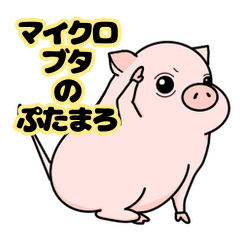 [LINEスタンプ] よく使うマイクロブタのスタンプ ぷたまろ