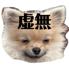[LINEスタンプ] 虚無顔ちもちゃんのスタンプ